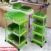 4/5 Layers Seed Sprouter Trays Shelf Bean Seed Sprout W/ Stainless Steel Rack AU