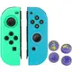 任天堂 Switch Joy-Con 霍格華茲主題搖桿套 4 種 + Joy-Con 矽膠套 Dongsup 淡綠色 + 藍色套裝