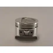 Austral Piston Set - PO733 STD