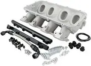 Aeroflow Low Rise EFI GM LS Base Intakemodular Manifold Cathedral Port Natural - AF6079-5001