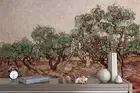 3D Olive Grove Wallpaper Wall Mural Removable Self-adhesive 85