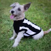 AFL Collingwood Magpies Pet Jumper - Small