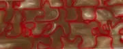 Red Rocks BTW99KSM Acrylic (2 pc) Knife Scales 1/4" x 1 1/2" x 6"