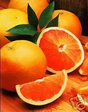 4 oz Candle Scent Oil-MINTED GRAPEFRUIT