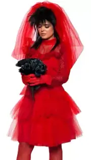 Bride From Hell Devil Gothic Dark Queen Adult Costume Beetlejuice