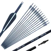 Archery Spine 500 Carbon Arrows with Steel Point for Compound Recurve Bow