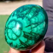 286G Natural glossy Malachite egg transparent cluster crystal mineral sample