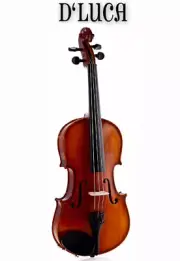 D'Luca Meister Ebony Fitted Beginner Violin Outfit 1/2