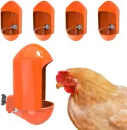 Large Chicken Waterer Cups Automatic with Anti-Roosting Cover | Poultry Waterer