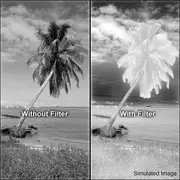 HOYA 77mm R72 INFRARED Filter