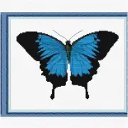 Ulysses Butterfly Cross Stitch Kit - Complete Embroidery Set with Easy Patterns