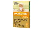 Flea & Wormer Spot on for Cats Under 4kg, 6's