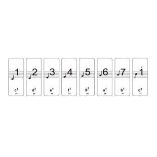 【KM MUSIC】鋼琴鍵盤貼 鍵盤貼 音階貼 88鍵/61鍵/54鍵(透明五線譜簡譜琴鍵貼紙 電子琴鍵盤貼)