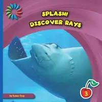 在飛比找博客來優惠-Discover Rays