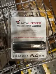 DataLocker Sentry One Managed Encrypted 64GB USB 3.1 Flash Drive SONE064M
