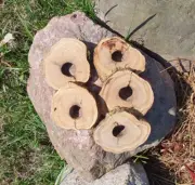 Wooden Log Discs #8 Wood Slices 2-11cm Round Wedding Coasters Saw cuts for DIY