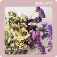 在飛比找蝦皮購物優惠-*晴冬小舖*乾燥花材-星辰花 星辰 乾燥花束 乾燥花 婚禮佈