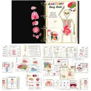 Body Learning Book Human Anatomy Busy Book Human Body Anatomy Busy Book