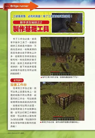 Minecraft DIY大事典: 我的世界