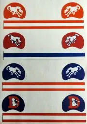 1960s Denver Broncos Drunken Horse Variations Custom Gumball Helmet Decals