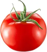 Tomato Salad Special 15+ Seeds Heirloom Vegetable Garden Spring Summer Veg Easy