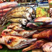 在飛比找蝦皮購物優惠-泰國購回仿真鹹魚抱枕貓咪最愛