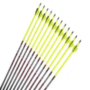 12pcs Archery Carbon Arrows Spine250-600 ID6.2mm 2"Arrow Vane Compound Bow