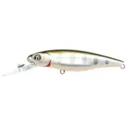 Pontoon21 GreedyGuts 66SP-MDR 404 CB Yamame, Lenght mm 66, Suspending Fishing...