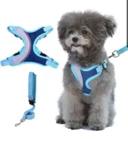 Harness and Leash Set-Step in Dog Harness Adjustable Reflective Blue Size Small