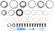 Differential Rebuild Kit-FSGR DANA Spicer 10038965