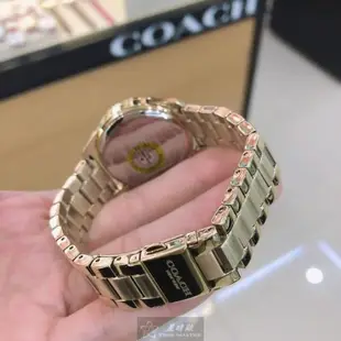 COACH手錶, 女錶 36mm 彩色圓形精鋼錶殼 糖豆滿天星錶面款 CH00136