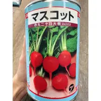 在飛比找蝦皮購物優惠-城禾農產🍃 日本櫻桃蘿蔔種子 2.2克 約200粒 全年可種