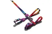 Zee.Cat: Prisma Cat Harness & Lead Set