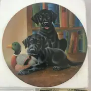 "Literary Labs" 2nd Plate in "It's a Dog's Life" Series by Lynn Kaatz - Knowles