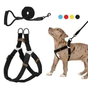 Adjustable Comfortable Neck Balance Pet Halter Harnesses Leash Set for Small Medium Large Dogs