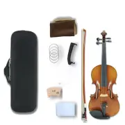 Master Acoustic Violin 4 String Flame Maple Ebony Fittings With Case,Bow,String