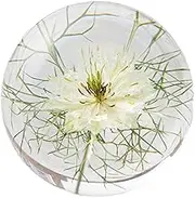 Valentines Day,Crystal Ball with Preserved Flower Rose,3D Inner Sphere Flower Clear Ball,Super for Liv Crystal