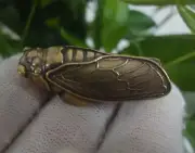 Antiqued Brass Pure Copper Cicada Figurine Statue Sculpture for Garden Decor