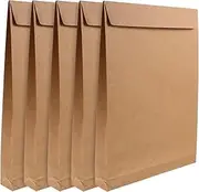 Angoily 5Pcs Bags for Clothes Shirts and Files Present Bags Envelope File Storage for Documents Party Favors