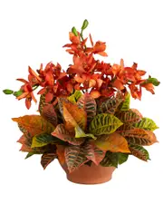 Nearly Natural Cymbidium Orchid & Croton Artificial Arrangement in Terra Cotta Vase