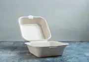 100 Count Green Wave 6"x6"x3" Clamshell Take Out Food Containers