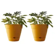 2x Northcote Pottery Leonard 31x27cmSelf Watering Plant Pot Garden Decor Yellow