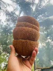 Natural Coconut Shell Halves Eco Friendly 100% Ceylon Organic Decorative 4 pcs