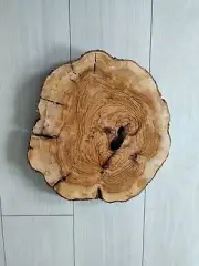 #4 13" 200Yr Live Edge Olive Wood Slab for Epoxy Resin -Cleaned- Rarity 3.9/5