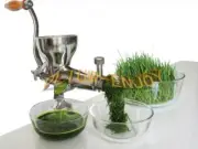 Stainless Steel Slow Juicer Hand Manual Fruit Juice Wheat Grass Juice Extrac New