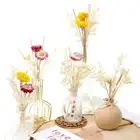 Dried Flower Plants Rattan Reed Diffuser Sticks Refill Home Fragrance Bathroom