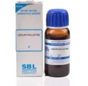 SBL Ledum Palustre Mother Tincture Q