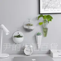 在飛比找蝦皮購物優惠-造型壁掛式花盆 塑膠牆面裝飾花瓶 綠美化小清新花盆 創意多款