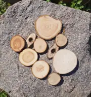 Wooden Log Discs #17 Wood Slices 2-11cm Round Wedding Coasters Saw cuts for DIY