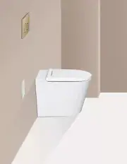 2025 Rimless WELS Watermark Smart TOILET in WALL cistern back to wall heat seat